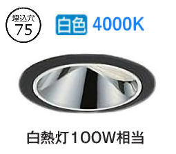 大光電機 ウォールウォッシャーダウンライト 電源別売 LZD93555NBZ 工事必要