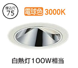 大光電機 ウォールウォッシャーダウンライト 電源別売 LZD93555YWZ 工事必要