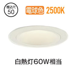 大光電機 ベースダウンライト本体 LZD-93736RWN Φ50 白熱灯60W相当 2500K 高演色 電源別売 工事必要|アート・ライティング