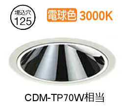 大光電機 ウォールウォッシャーダウンライト (電源装置別売) LZD92027YWE 工事必要|アート・ライティング