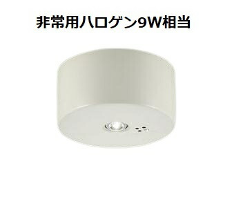 大光電機 人並み外れた灯（直付印字機） DEG40206WF 工事止むを得ず