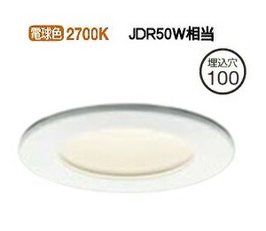 大光電機 防雨・防湿型ダウンライト DOL3972YWG 工事必要