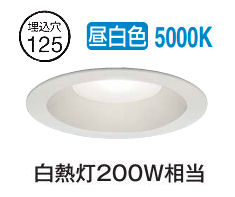 大光電機 ダウンライト(軒下兼用) DDL4920WWG 工事必要