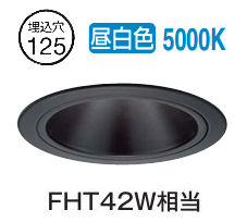 大光電機 グレアレスダウンライト 屋内・屋外兼用 DDL5548WBG 工事必要