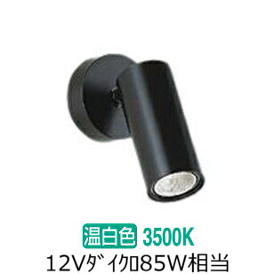 大光電機 直付型スポットライト 屋内用 DSL4902ABG 工事必要