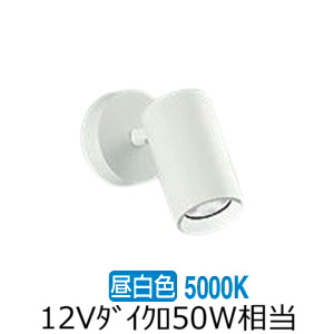 ※メーカー欠品中※ 大光電機 スポットライト 屋内用 DSL5397WWG 工事必要