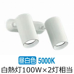 大光電機 スポットライト 屋内用 DSL5400WWG 工事必要