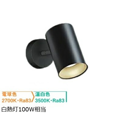 大光電機 直付用スポットライト 屋内用 色温度切替機能付 DSL5528FBG 工事必要