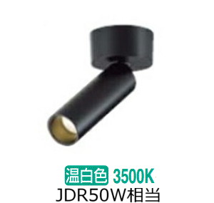 大光電機 直付用スポットライト 屋内用 DSL5543AB 工事必要