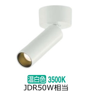 ※メーカー欠品中※ 大光電機 直付用スポットライト 屋内用 DSL5543AW 工事必要