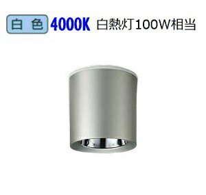※メーカー欠品中※ 大光電機 軒下用シーリング LLC7062NUE 工事必要｜アート・ライティング