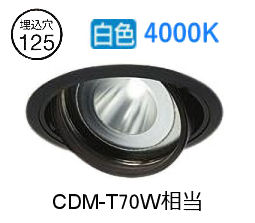 大光電機 ユニバーサルダウンライト 電源別売 LZD93636NBW 工事必要