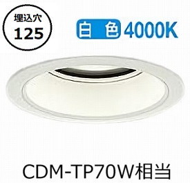 大光電機 軒下用ダウンライト LZW9023NWB3E 工事必要