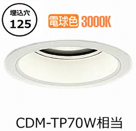 ※メーカー欠品中※ 大光電機 軒下用ダウンライト LZW9023YWB3E 工事必要