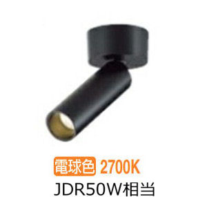 大光電機 直付用スポットライト 屋内用 DSL5543YB 工事必要