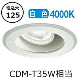 大光電機 ダウンライト(電源装置別売) LZW92179NW 工事必要|アート・ライティング
