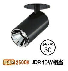 ※メーカー欠品中※ 大光電機 ダウンスポットライト(電源別売) LZS93118RBN 工事必要|アート・ライティング