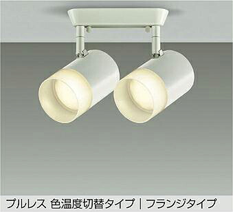 大光電機 注目の的 DSL-5526FWGE 高温発光灯100W好いかげんに 楽調
