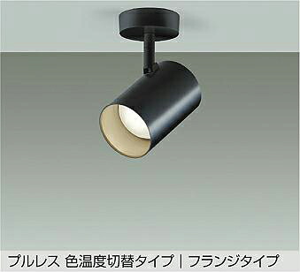 大光電機 注目の的 DSL-5528FBGE 高温発光灯100W好いかげんに 楽調