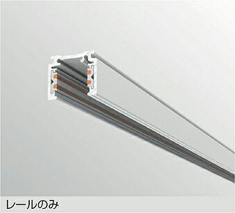 大光電機 DC48V導管(浅型ﾀｲﾌﾟ) TP-VL1003W 3m 白