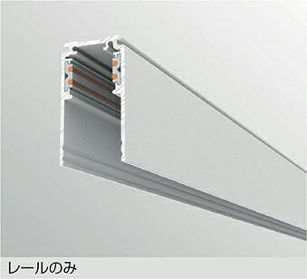 大光電機 DC48V導管(深型ﾀｲﾌﾟ) TP-VL2002W 2m 白