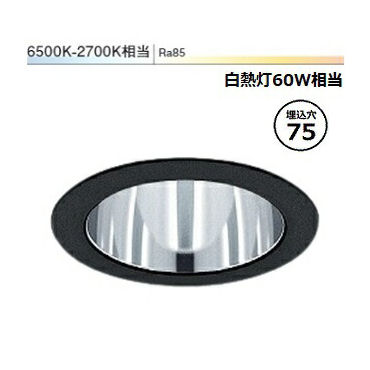遠藤照明 ダウンライト EFD8962B 無線調光 調光調色 工事必要