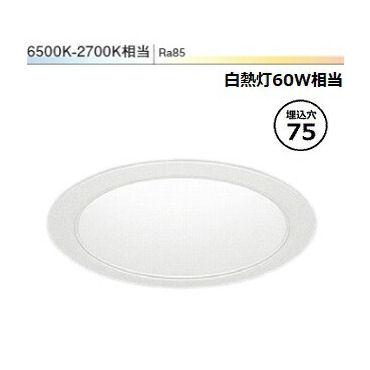 遠藤照明 ダウンライト EFD8963W 無線調光 調光調色 工事必要