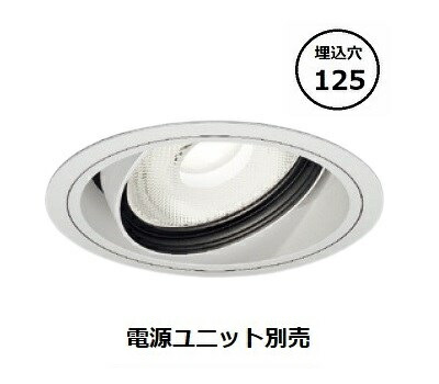 遠藤照明 ユニバーサルダウンライト 生鮮食品用 フレッシュD 電源ユニット別売 ERD8822W 工事必要