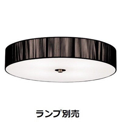 遠藤照明 シーリングライト ランプ別売 無線調光 ERG5260BB｜アート・ライティング