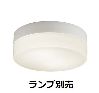 遠藤照明 アウトドアシーリングライト ランプ別売 ERG5544WA 工事必要