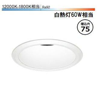 遠藤照明 ダウンライト SXD1062W 工事必要