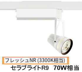 遠藤照明 生鮮食品用スポットライト EFS6024W｜アート・ライティング
