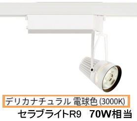 ※メーカー欠品中※遠藤照明 生鮮食品用スポットライト EFS6256W｜アート・ライティング
