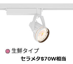 遠藤照明 生鮮食品用スポットライト EFS6289WA|アート・ライティング