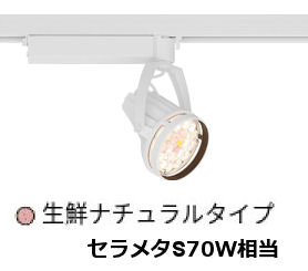 ※メーカー欠品中※遠藤照明 生鮮食品用スポットライト EFS6291WA|アート・ライティング