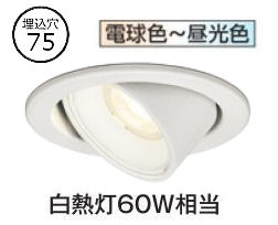 オーデリック ユニバーサルダウンライト OD361723BR 準耐火対応 Φ75 白熱灯60W相当 高演色 調光調色 Bluetooth ﾜｲﾄﾞ配光 工事必要