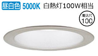 パナソニック 軒下用ダウンライト １００形相当 昼白色 LRD3102NLB1 工事必要