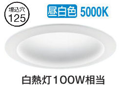 パナソニック 落ち込むともし火 XNN1051PNLE9 (NLN22520+NNK10001NLE9) 鳴りわたる 昼白いこと φ125 FDL27形好いかげんに 工事止むを得ず