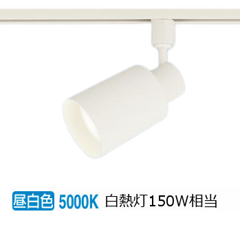 ※メーカー欠品中※ パナソニック 室内用スポットライト XAS5520NCC1(LGS9505+LLD5020NCC1) 工事必要 明るさフリー