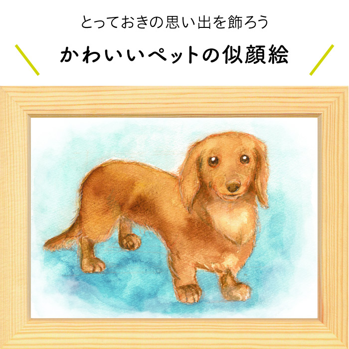 楽天市場 プレゼントにぴったりな似顔絵 わんちゃんの似顔絵 しま かすみ ペット 犬 愛犬 動物 わんこ プレゼント 誕生日 記念日 戌年 戌の日 おしゃれ ギフト サプライズ にがおえ 似顔絵屋 アートの綿毛