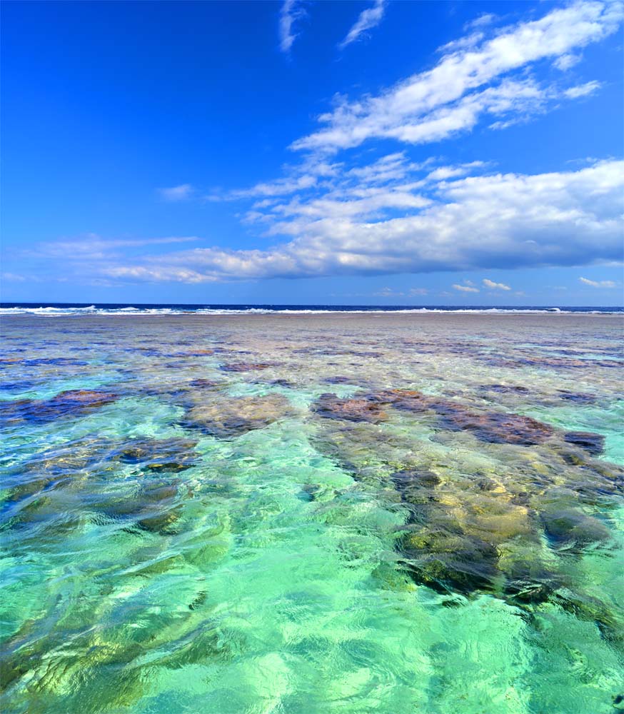 風景写真パネル 沖永良部島 笠石海浜公園01 インテリア ポスターとは違う リビング 玄関にそのまま飾れる額がいらない 壁掛け 壁飾り 絵画 アート アートパネル 癒やしの装飾をお祝い プレゼント ギフトにも 60 6 72 7cm Okrb 01 F 楽ギフ 包装 Onpointchiro Com