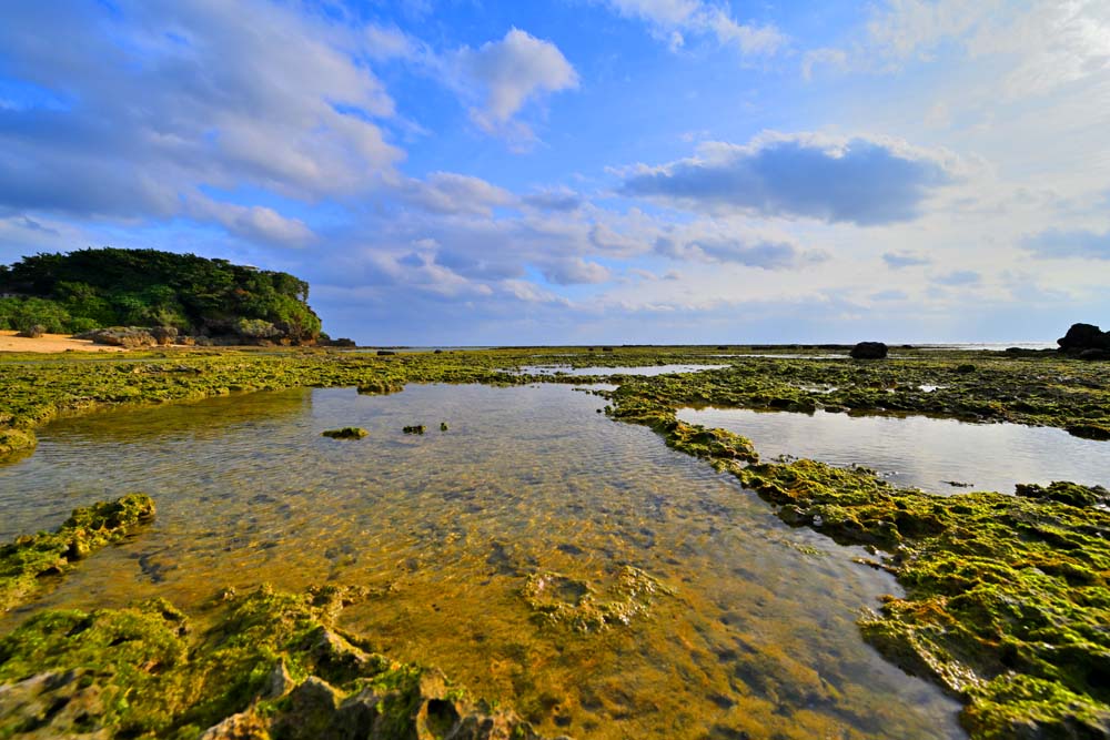 風景写真パネル 徳之島 なごみの岬公園 01 プレゼント ギフト 贈答品 返礼 お祝い 結婚 新築 引っ越し 誕生日 記念日 風水 インテリア ディスプレイ グラフィック アートパネル Tkns-06-M30｜写真パネルのあぁとすぺーすつくば