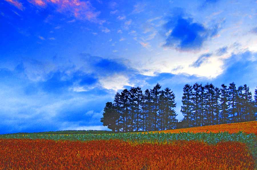 楽天市場】北海道 美瑛 赤い屋根の家 4切W 風景写真 4W-348
