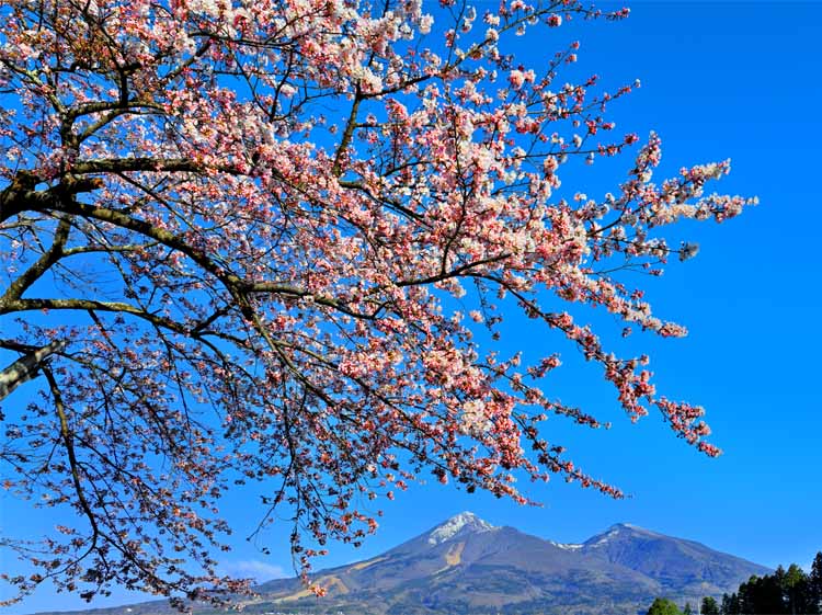 風景電影パネル 福島 猪苗代里村 川桁のロゼ 01 進上 賜物 お祭 輿入 建立 生まれ落ちる日にち 祝する日 年祝い Fuk Kkngss 01 P 具足 化粧 壁飾り 絵柄御釣り アトモスフィア設営 リビング 晩餐 事務所 エントランス Ficap Fr