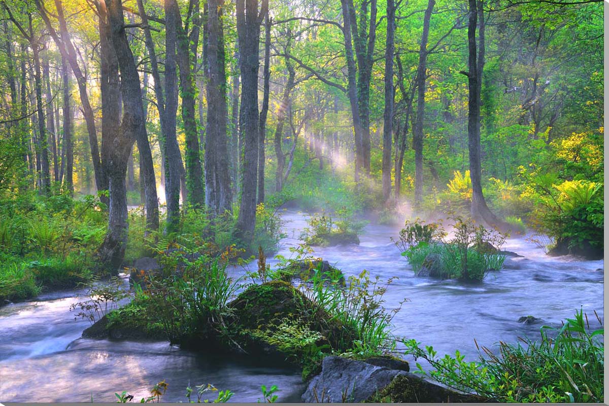 風景写真パネル 福島裏 磐梯 朝もやの長瀬川 側面画像あり パネル 写真 アートパネル ウォールデコ インテリア 壁掛け 壁飾り 額要らず 模様替え 雰囲気作り 風水 リビング オフィス 玄関 FUK-228-M50skm画像