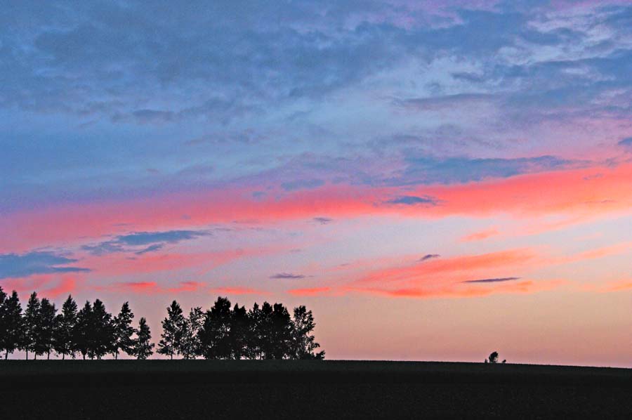 楽天市場】風景写真パネル 沖縄 北大東島の海と太陽 夕日 プレゼント 