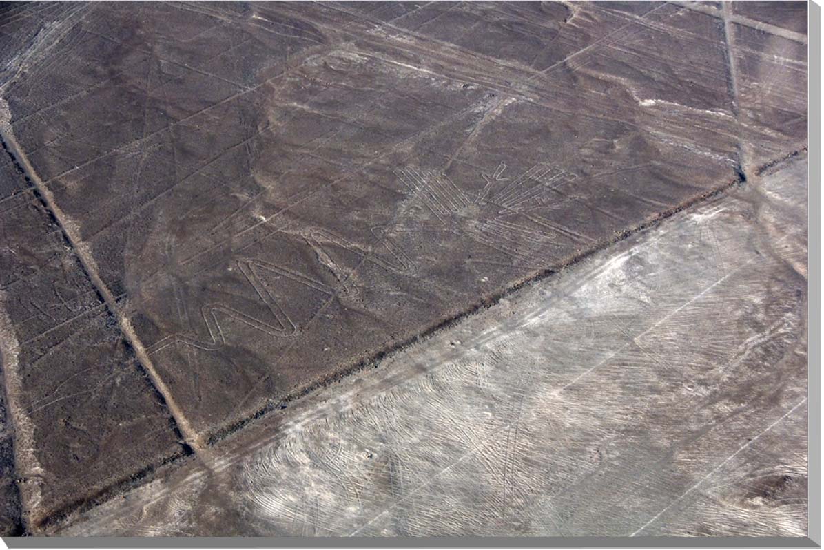 m20.jpg