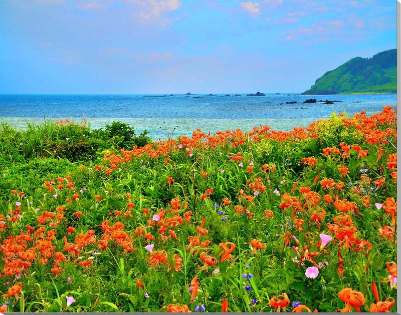 【楽天市場】風景写真 パネル 山形 飛島 海とオニユリの花 インテリア アートパネル ディスプレイ ウォールデコ パネル 写真 壁飾り 壁掛け  模様替え 雰囲気作り リビング オフィス プレゼント ギフト 贈答品 返礼 お祝い 結婚 新築 引っ越し 誕生日 記念日 yam 