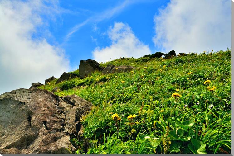 楽天市場】風景写真パネル 山形 鳥海山と鳥海湖 インテリア アートパネル パネル 写真 ディスプレイ ウォールデコ 壁掛け 壁飾り 額要らず 模様替え  雰囲気作り 風水 癒やし ヒーリング リビング オフィス 玄関 yam-065-p30 : 写真パネルのあぁとすぺーすつくば