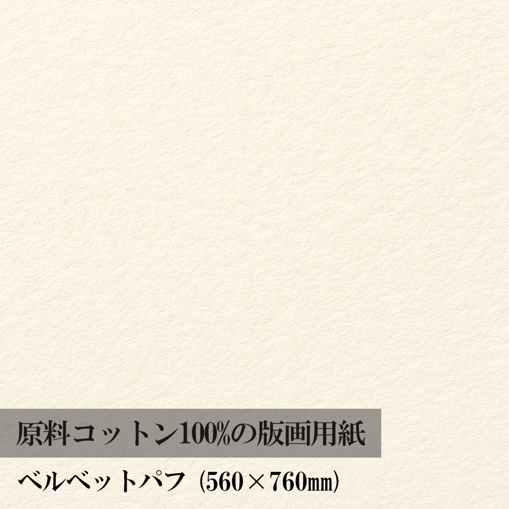 【楽天市場】版画 用紙 サマセット ベルベット アンティーク 560